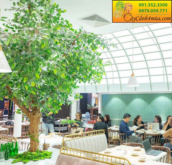 Những mẫu cây xanh giả trang trí quán cafe