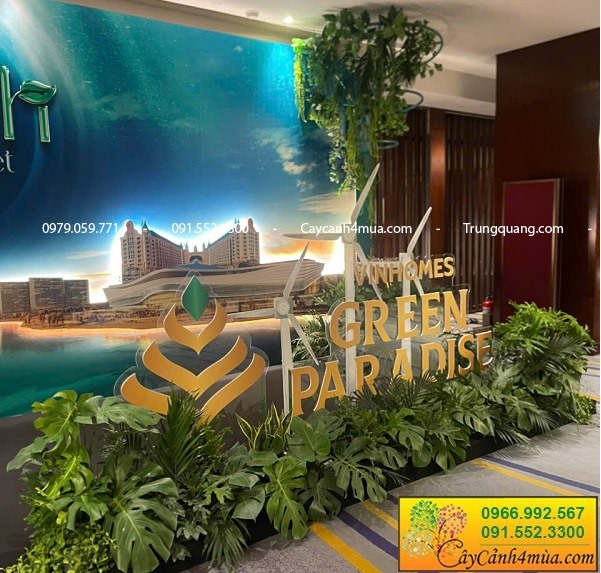 Trang trí cây xanh tại sự kiện KeangNam