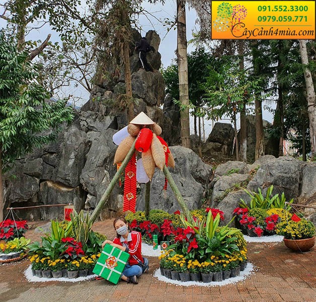 Trang trí tiểu cảnh hội hoa xuân tại Mèo Vạc - Hà Giang