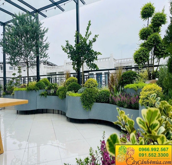 Vườn trên sân thượng theo phong cách châu Âu.