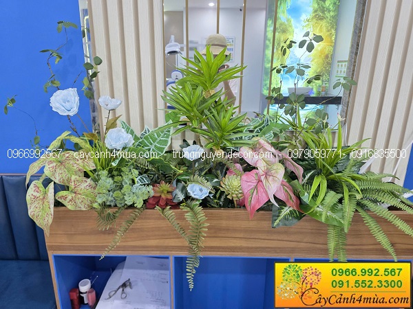 Bồn cây giả trang trí văn phòng nha khoa tại Trần Quốc Hoàn