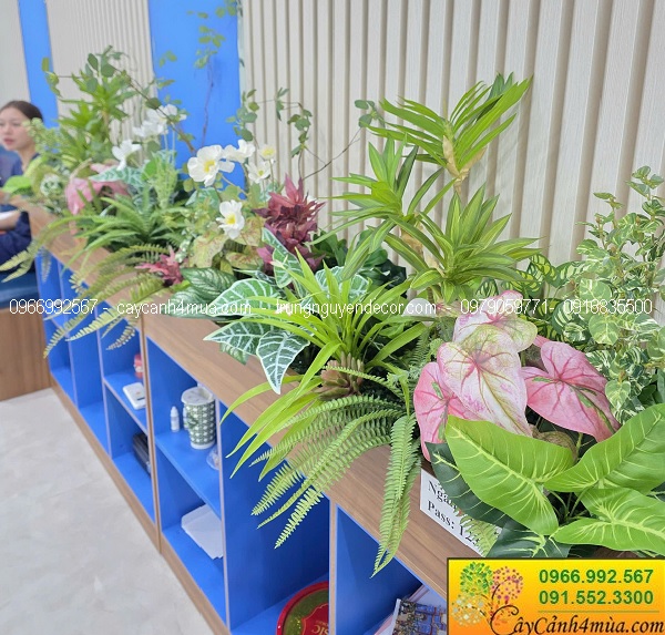 Bồn cây giả trang trí văn phòng nha khoa tại Trần Quốc Hoàn