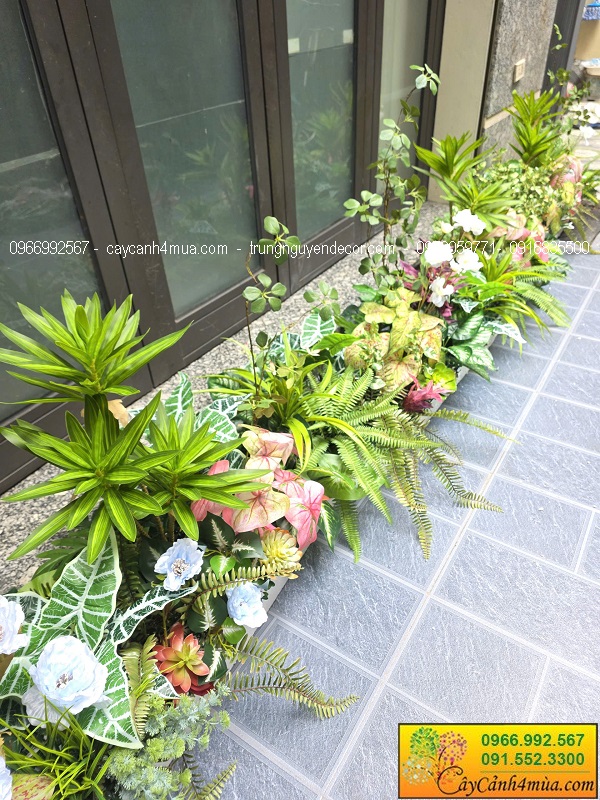 Bồn cây giả trang trí văn phòng nha khoa tại Trần Quốc Hoàn