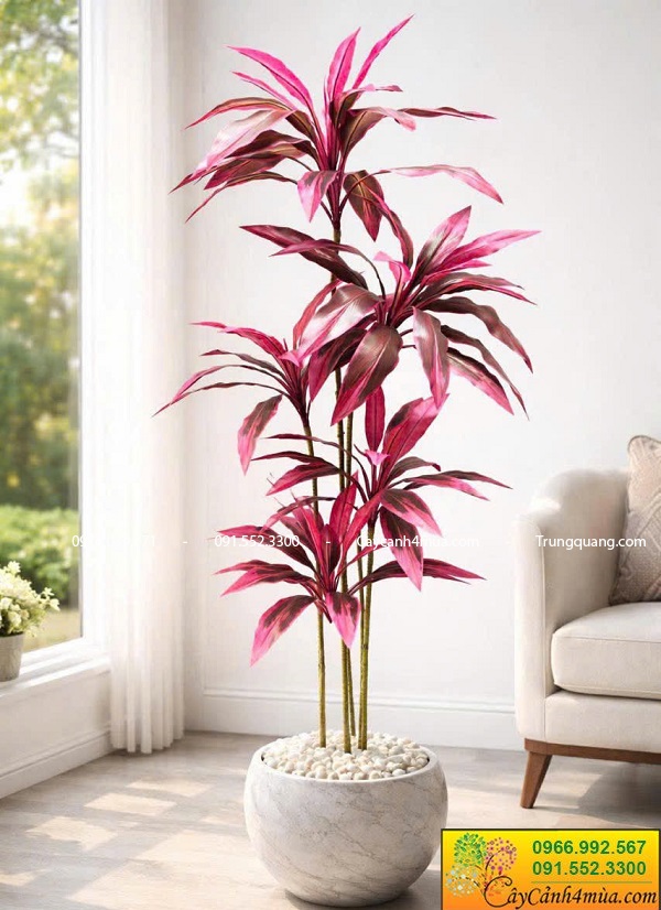 Cây huyết dụ giả