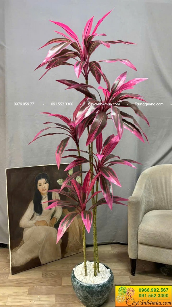 Cây huyết dụ giả