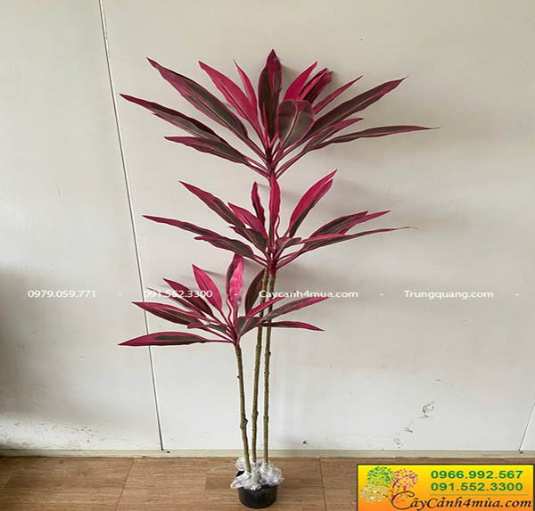 Cây huyết dụ giả