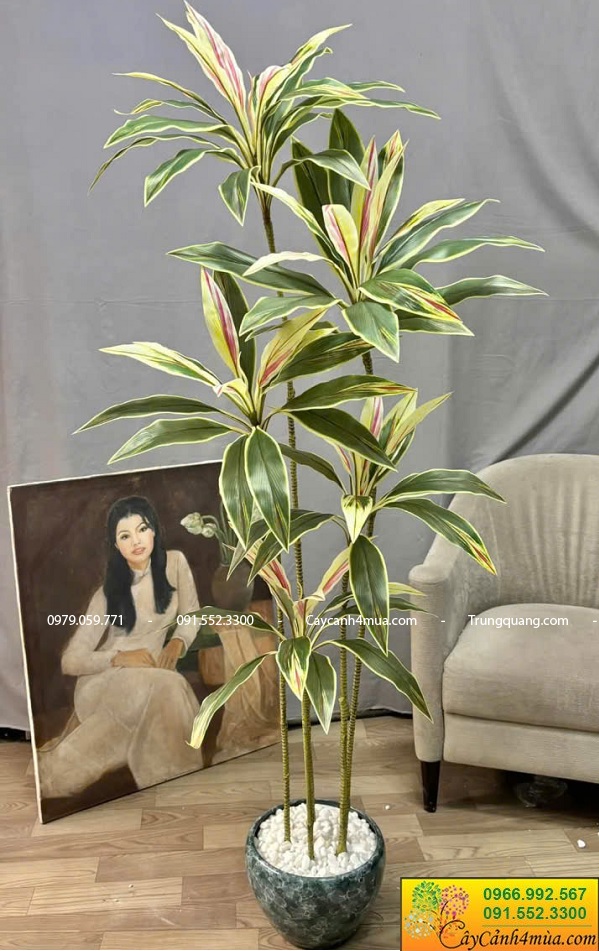 Cây huyết dụ giả