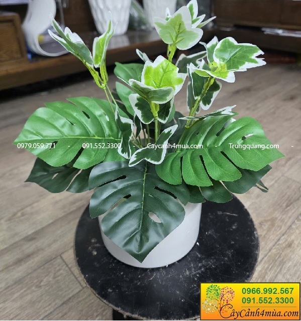  Chậu cây giả mini để bàn trang trí