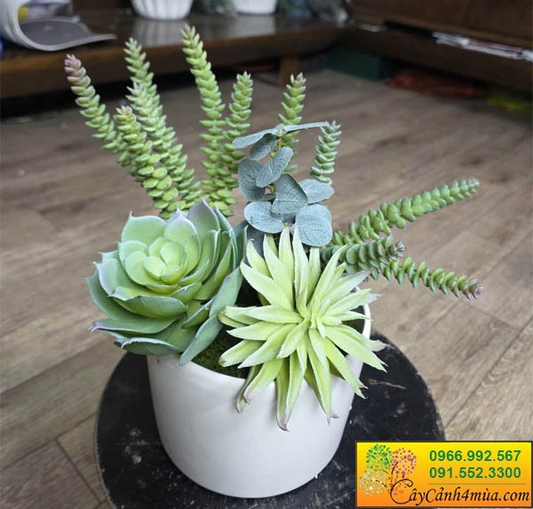  Chậu cây giả mini để bàn trang trí