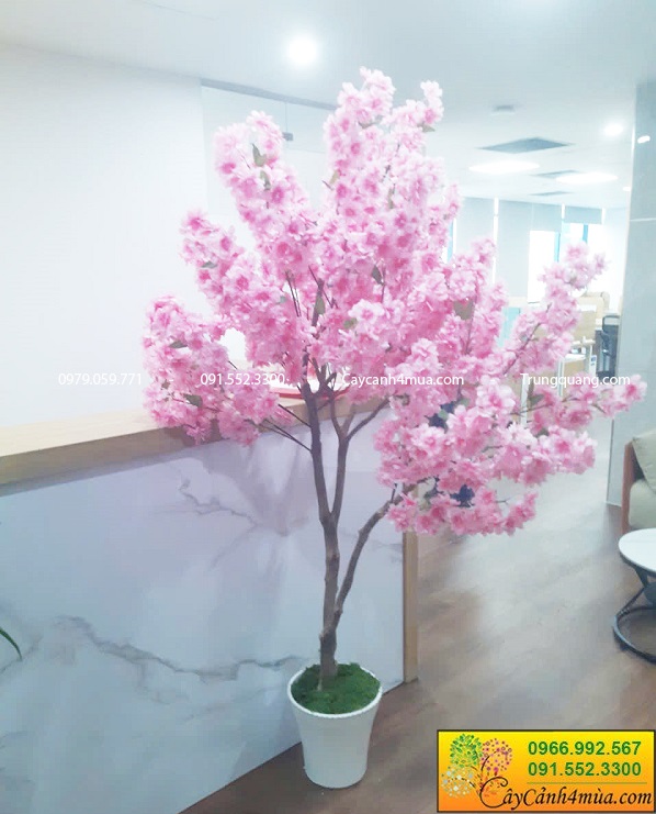 Cây hoa anh đào giả size nhỏ