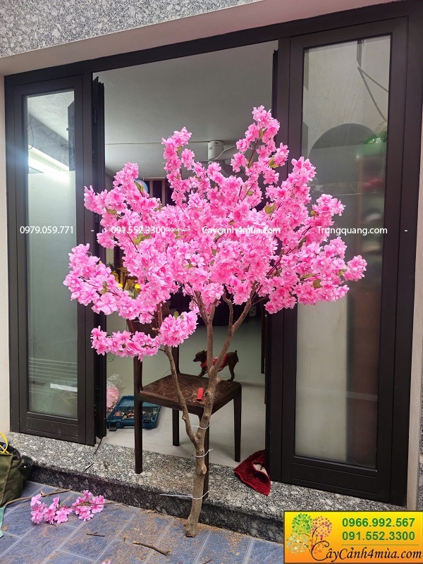 Cây hoa anh đào giả size nhỏ