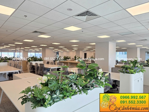 Hộc cây giả xanh chovăn phòng làm việc hiện đại