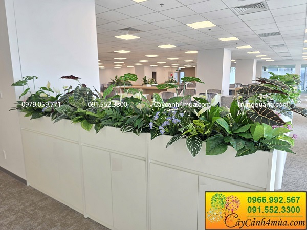 Hộc cây giả xanh chovăn phòng làm việc hiện đại