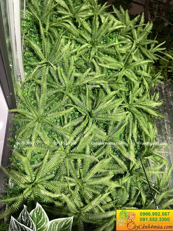 Tường cây giả hiện đại cho văn phòng