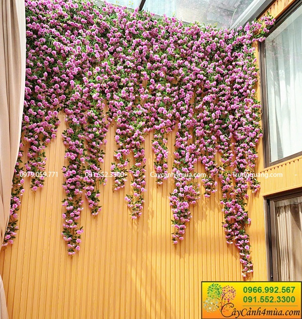 Giàn tường hoa hồng giả rủ