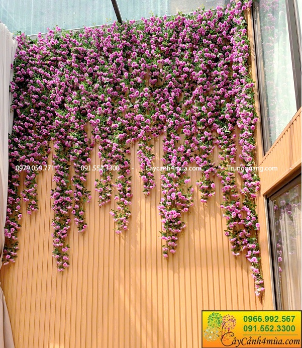 Giàn tường hoa hồng giả rủ