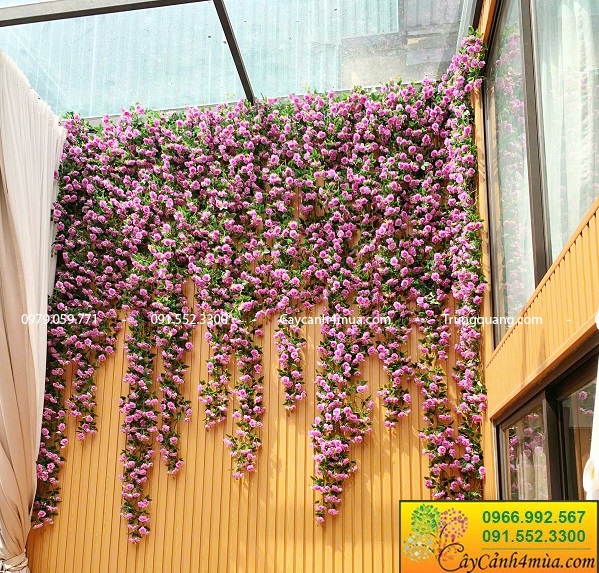 Giàn tường hoa hồng giả rủ