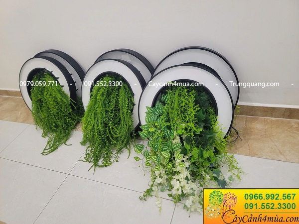 Cây giả rủ trang trí đèn trần