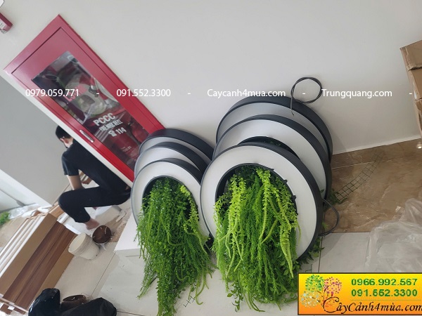 Cây giả rủ trang trí đèn trần