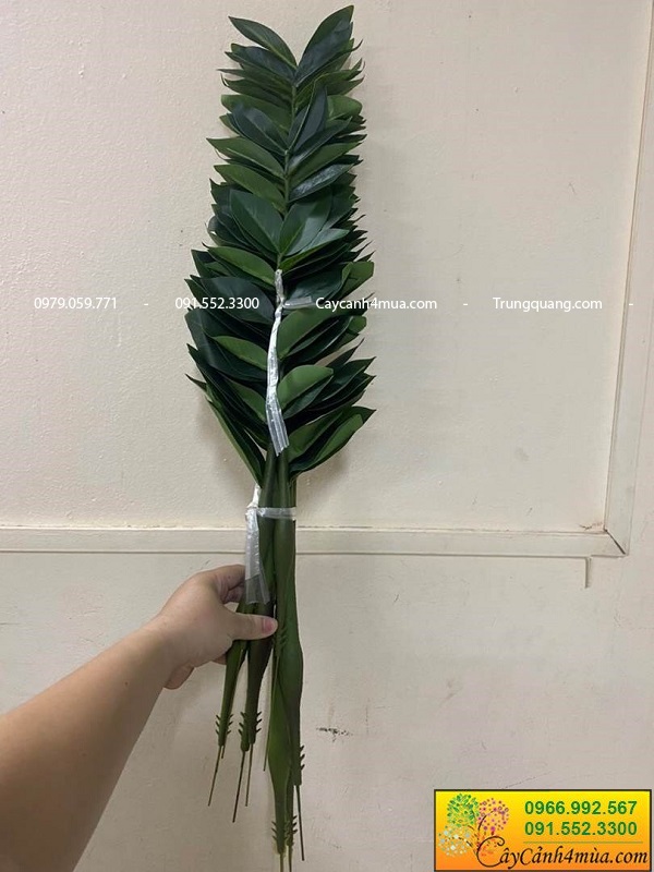 Cây kim tiền giả nhiều kích thước