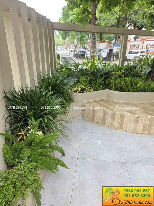 Trồng cây xanh trang trí quán cà phê