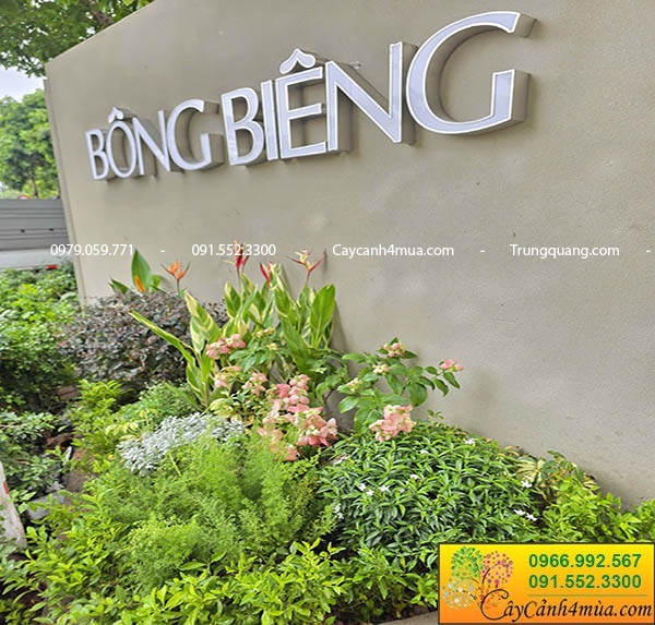 Trồng cây xanh trang trí quán cà phê