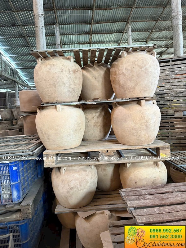 Chậu đất nung trồng cây tại Hà Nội giá rẻ
