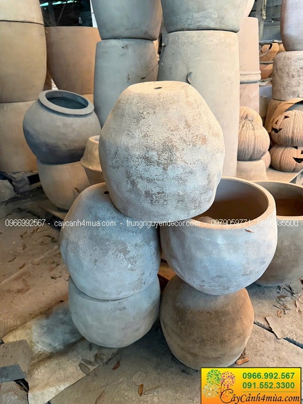 Chậu đất nung trồng cây tại Hà Nội giá rẻ