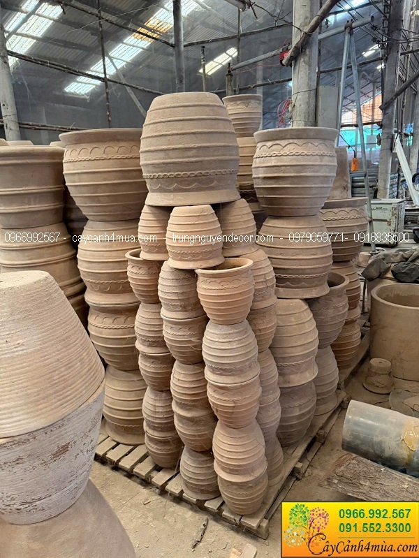 Chậu đất nung trồng cây tại Hà Nội giá rẻ