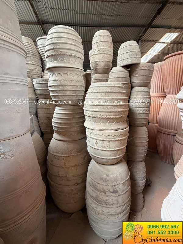 Chậu đất nung trồng cây tại Hà Nội giá rẻ