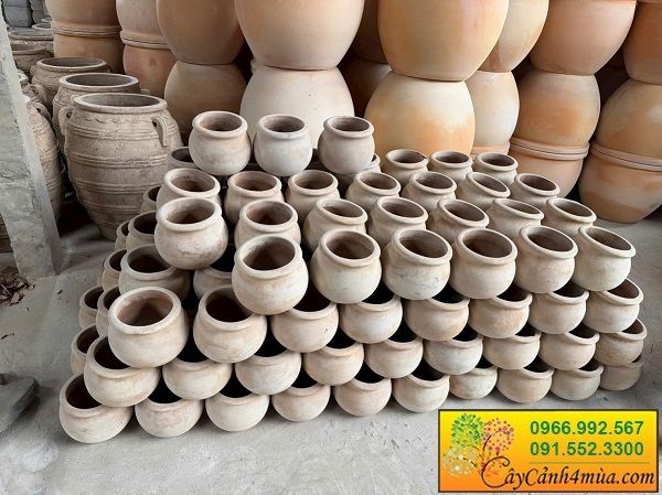 Chậu đất nung trồng cây tại Hà Nội giá rẻ