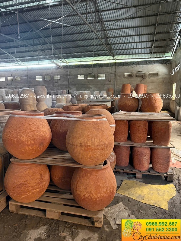 Chậu đất nung trồng cây tại Hà Nội giá rẻ
