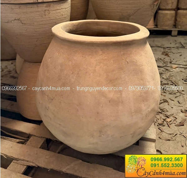 Chậu đất nung trồng cây tại Hà Nội giá rẻ