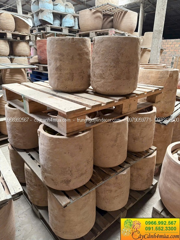 Chậu đất nung trồng cây tại Hà Nội giá rẻ
