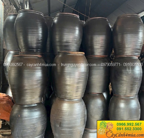 Chậu chum gốm đen trồng hoa sen