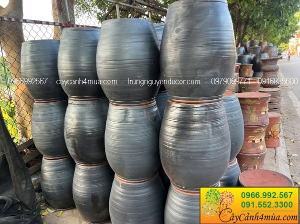 Chậu chum gốm đen trồng hoa sen