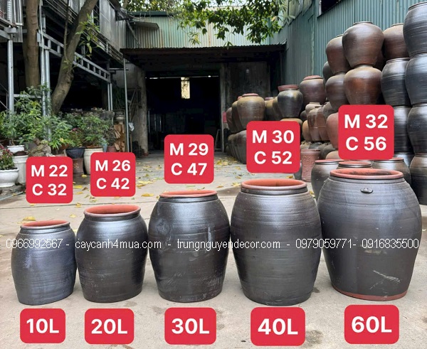 Chậu chum gốm đen trồng hoa sen